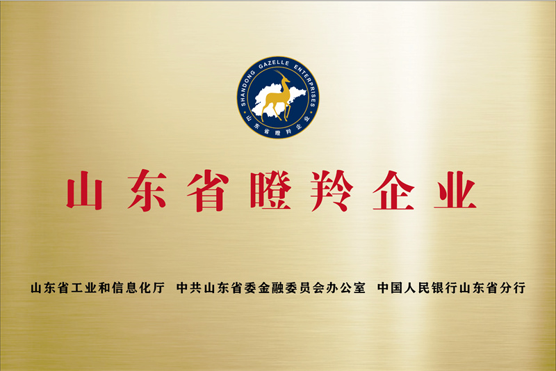 济宁先进院荣誉牌-06